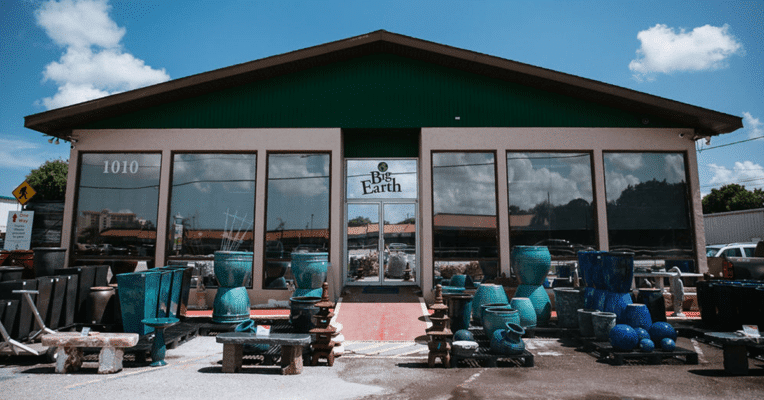 Palmetto1 Big Earth Landscape Supply